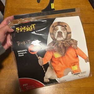 Dog costume